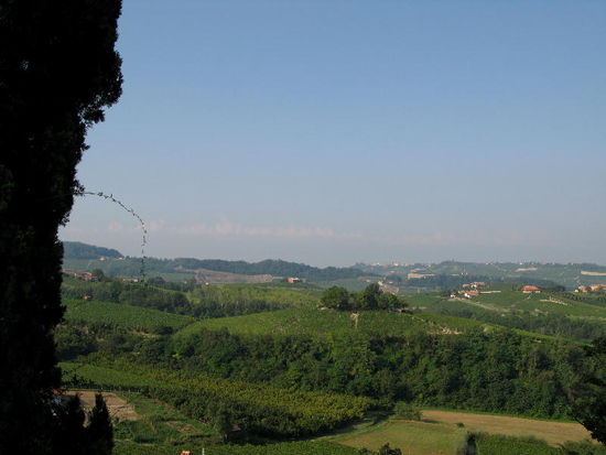 2008 - Monforte d'Alba: die guten Tropfen des Barolo