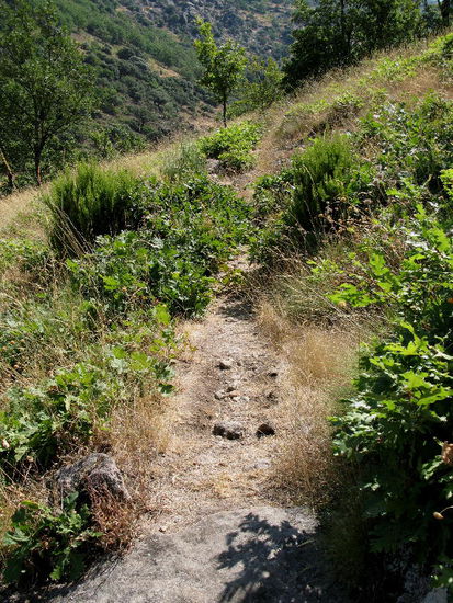 2008 - Jerte; der steile Anstieg in die "Garganta de los Infernos"