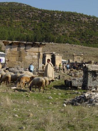 2005 Türkei - Hierapolis; der Hirte weiss, wo's was zu verdienen gibt!
