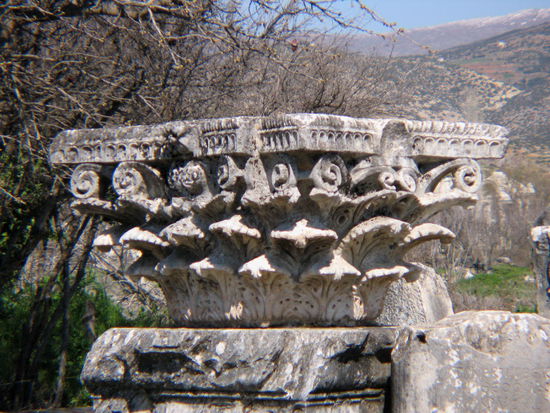 2009 - Aphrodisias; Säulenkapitell