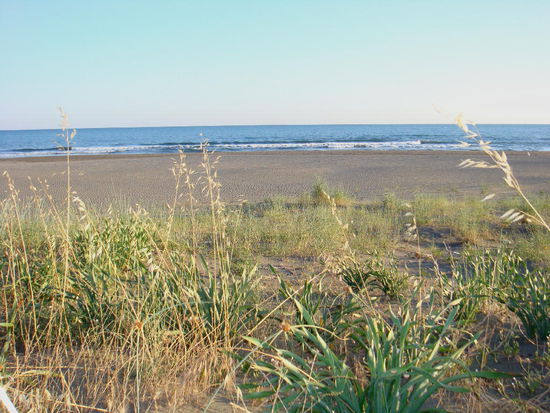 2009 - Ulcinj; das "wilde" Autokamp mit Blick zum Meer und zum Pinienwäldchen...