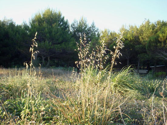 2009 - Ulcinj; nach 2 Tagen relaxen zieht es uns weiter....