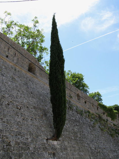 2009 - Stari Bar; Launen der Natur