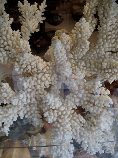 2009 - Trogir; Souvenirs, welche eher fragwürdig sind...