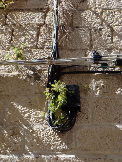 2009 - Trogir; Verkabelung mit Natur...