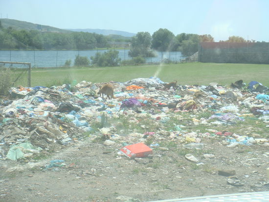 z.B. hier! Leider ist Umweltschutz noch kein grosses Thema - zuerst gilt es zu überleben!