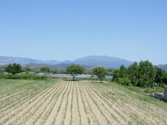 Auf der Fahrt nach Shkodra, im Hintergrund die albanischen "Alpen"...