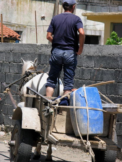 2009 - Skodra; auch er möchte hinüber...
