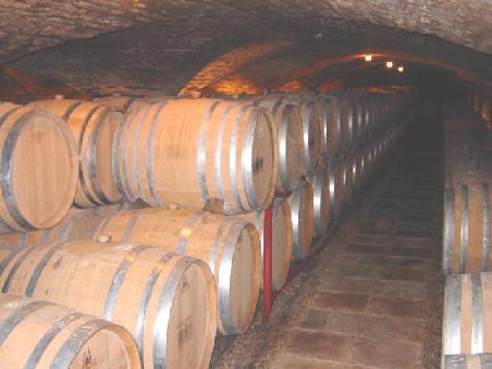 Château Chassagne-Montrachet; Weinkeller