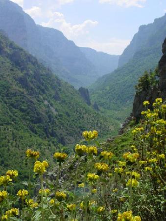 Vikos-Schlucht 2005