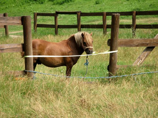 Na du kleiner Ruhestörer! Und jetzt guckst aus der Ferne hinüber...
