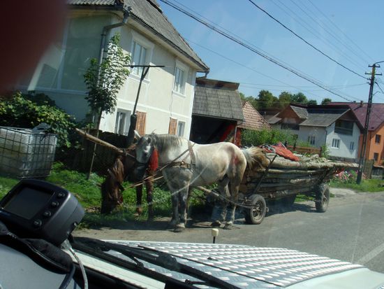 2010 - unterwegs nach Tulcea; immer wieder Pferdefuhrwerke