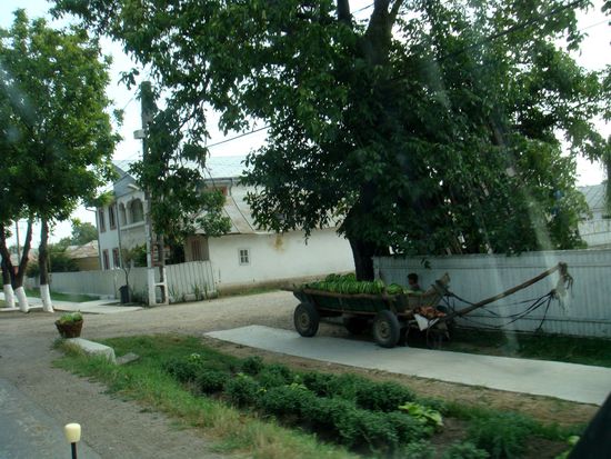 2010 - unterwegs nach Tulcea; wer isst wohl all die Melonen?