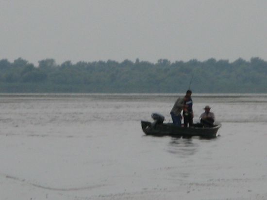 2010 - Donaudelta; Fischer