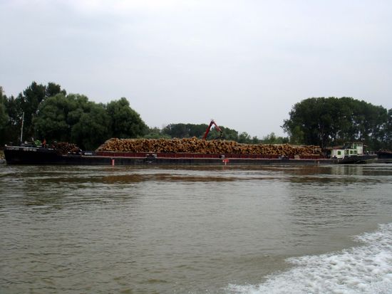 2010 - Sulina-Kanal; Holz wird verladen