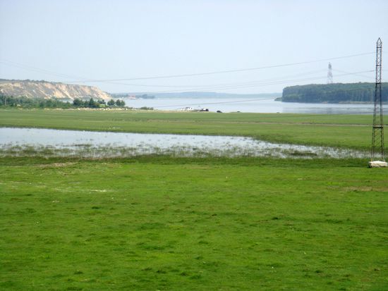 2010 - sumpfiges Gelände entlang der Donau