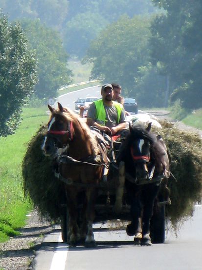 2010 - Unterwegs; die Ernte wird eingefahren...
