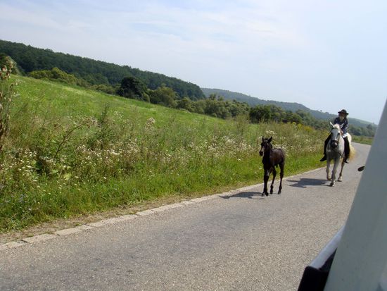 2010 - Unterwegs; die Nachzügler...
