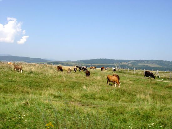 2010 - Unterwegs; weite Landschaften...