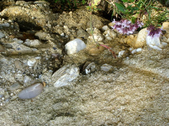 2010 - Trovantilor; ... bis die weichere Schicht rundum soweit ausgewaschen ist, dass sie irgendwann herunterfallen