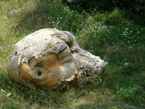 2010 - Trovantilor; Tierkopf