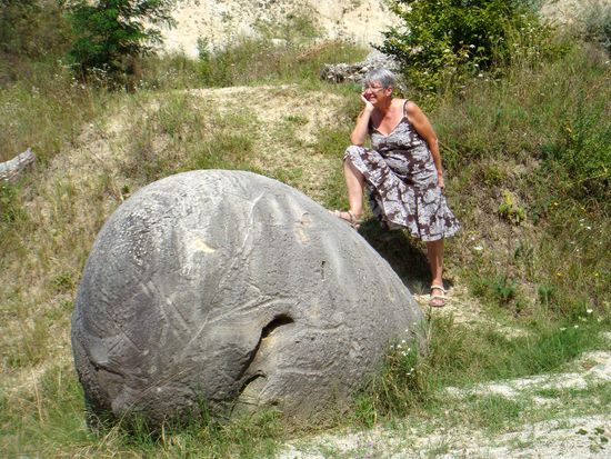 2010 - Trovantilor; Fischkopf! ...wieviel sind das wohl - 100 Mio Jahre??