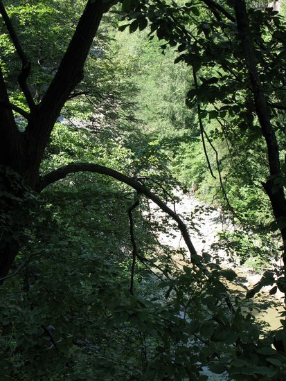 2010 - Frauenhöhle; Blick hinunter auf den Fluss