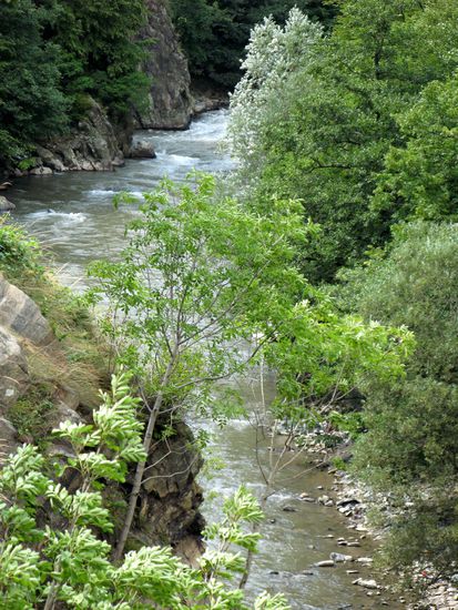 2010 - Baia de Fier; der Galbeni-Fluss