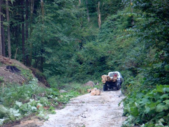2010 - Ruschita - Pass; wir nehmen die andere Strasse, doch da wird Holz geladen...