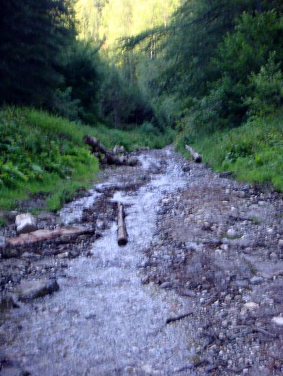 2010 - Ruschita - Pass; und so sieht die Strasse nun aus - mehr Bach als Strasse!