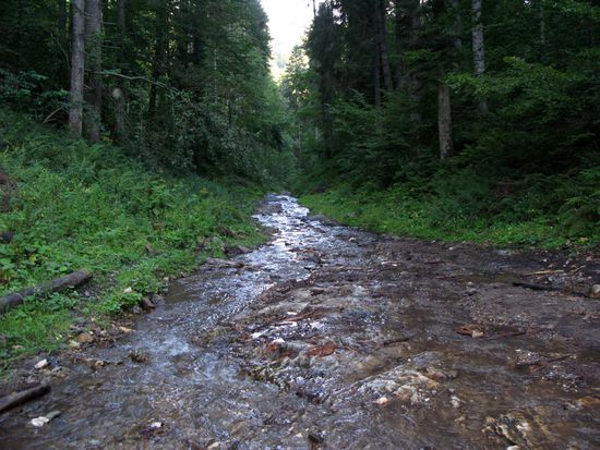 2010 - Rischuta - Pass; da geht es noch - das steinige Bachbett ist einigermassen befahrbar