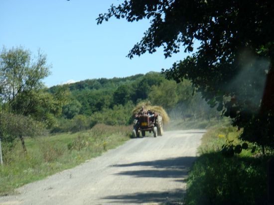 2010 - Unterwegs, hin und wieder ein landwirtschaftliches Gefährt...