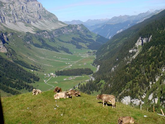 2010 - Klausenpass; Blick auf den Urner Boden