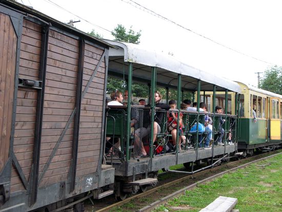2010 - Viseu-de-Sus; die offenen Wagen sind rasch besetzt