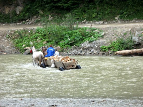 2010 - Wassertal; die Beschäftigung der Leute ist klar: Holz und Holzverarbeitung