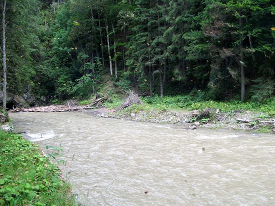 2010 - Wassertal; auf dem Fluss wurde früher das Holz geflösst