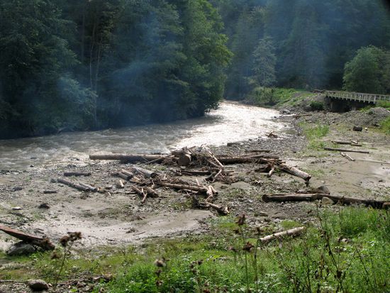 2010 - Wassertal; im Fluss angeschwemmtes Holz...