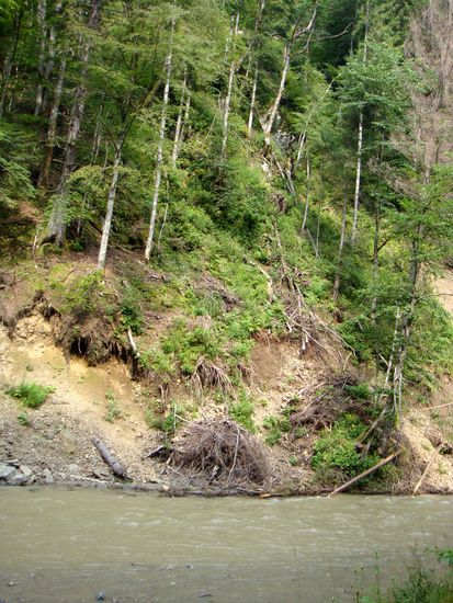 2010 - Wassertal; Holz - überall Holz