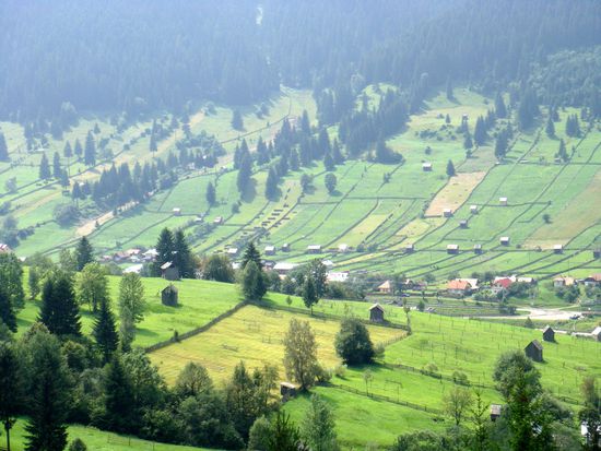 2010 - kurz vor dem Aufstieg zum Ciumarna-Pass, dann geht's hinunter zum Kloster Sucevita