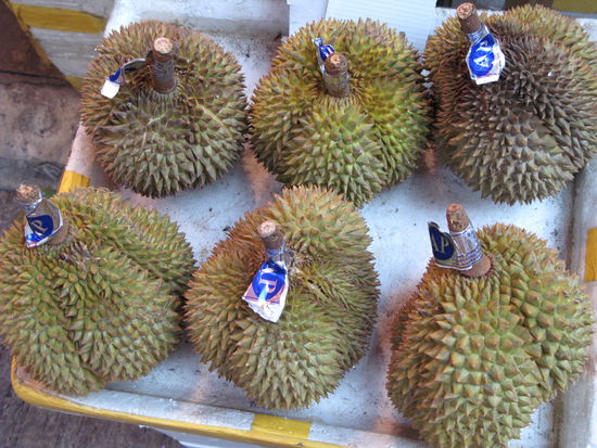 2011 - HongKong; Stinkfrucht...