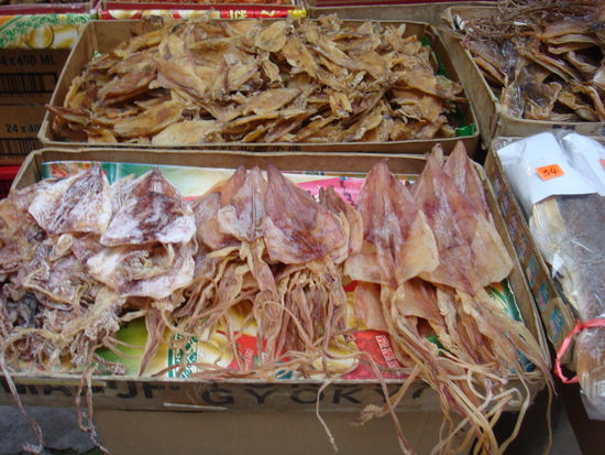 2011 - HongKong; alles was da "kreucht und fleucht"...