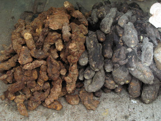 2011 - HongKong; Wurzelgemüse