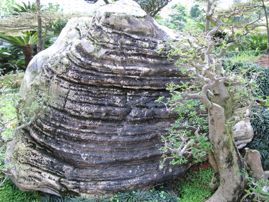 2011 - Nan Lian  Garden; im Steingarten
