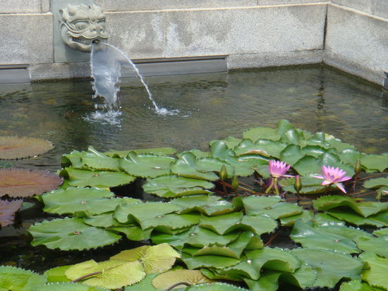 2011 - ChiLin Kloster; die Gärten im 1. Hof...