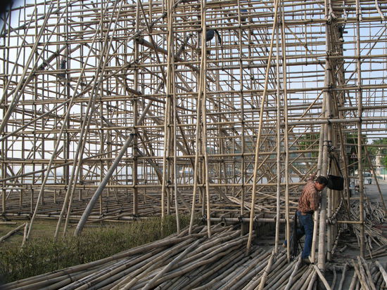 2011 - Coloane; was entsteht denn da...?