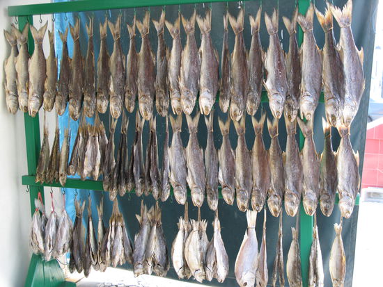 2011 - Coloane; reicher Fischfang trocknet vor der Hauswand