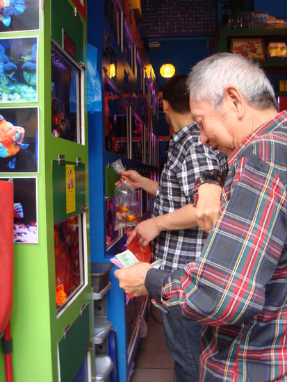 2011 - KowLoon; die Fische werden in einen Beutel umgefüllt, dieser wird mit Sauerstoff aufgefüllt - der Handel ist abgeschlossen...