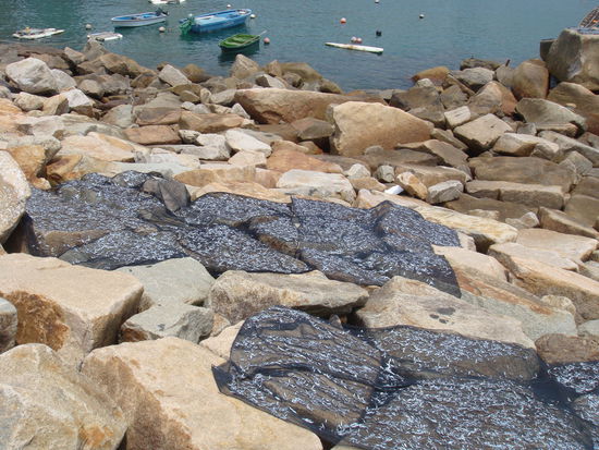 2011 - Stanley; was ist denn da zum Trocknen ausgelegt?