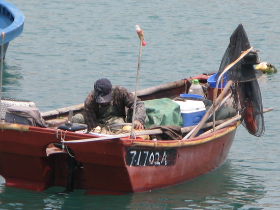 2011 - Stanley; von ihm aus dem Meer geholt?