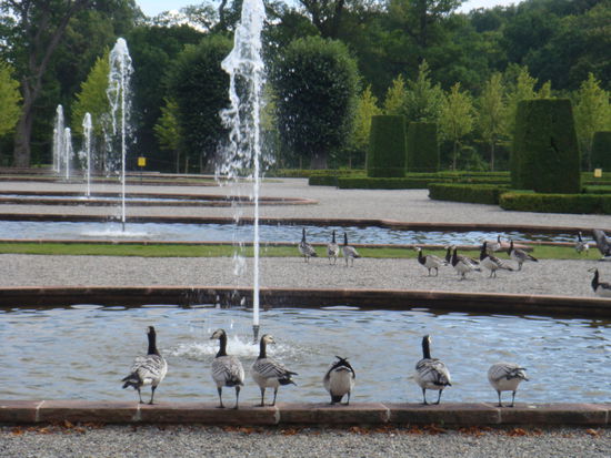 Stockholm - ...auch durstig...!